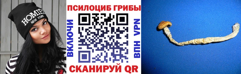 Галлюциногенные грибы мухоморы  Калач 